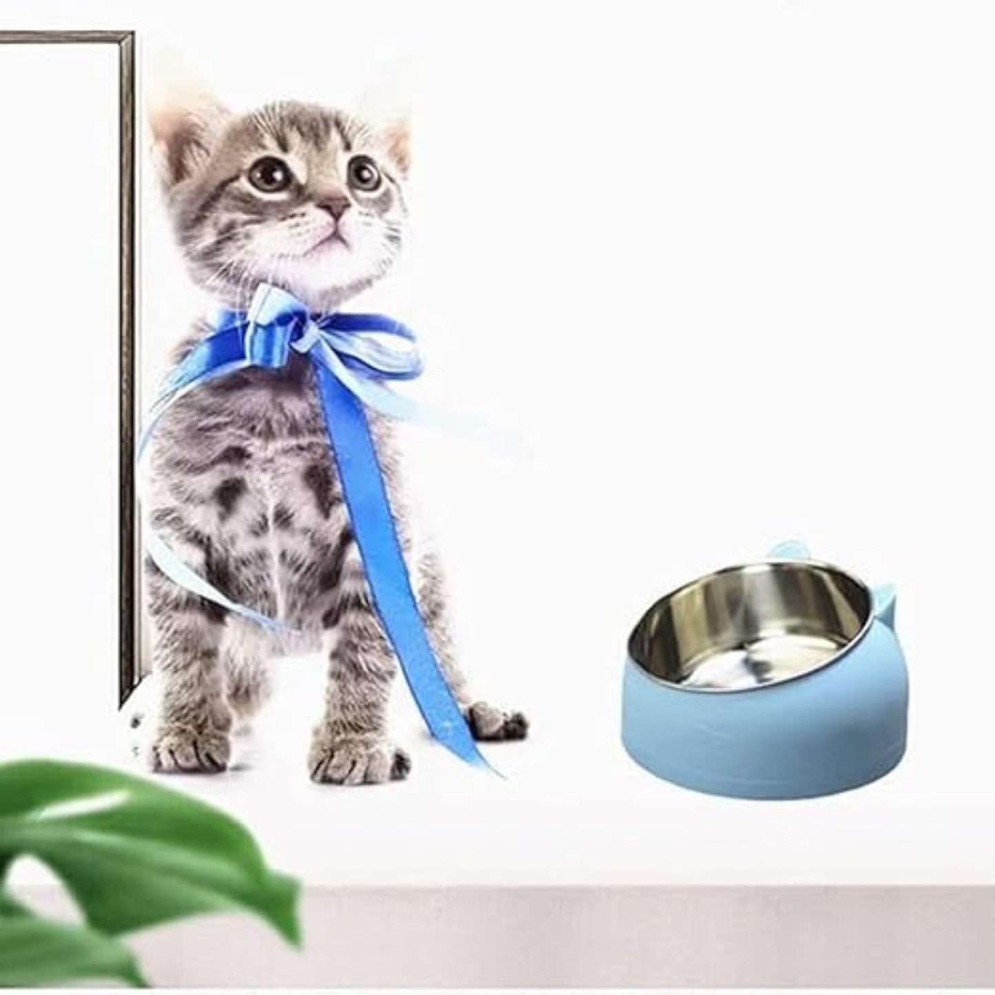 Raised Stainless Steel Pet Food and Water Bowl with Tilted Design & Non-Slip Base for Dogs and Cats