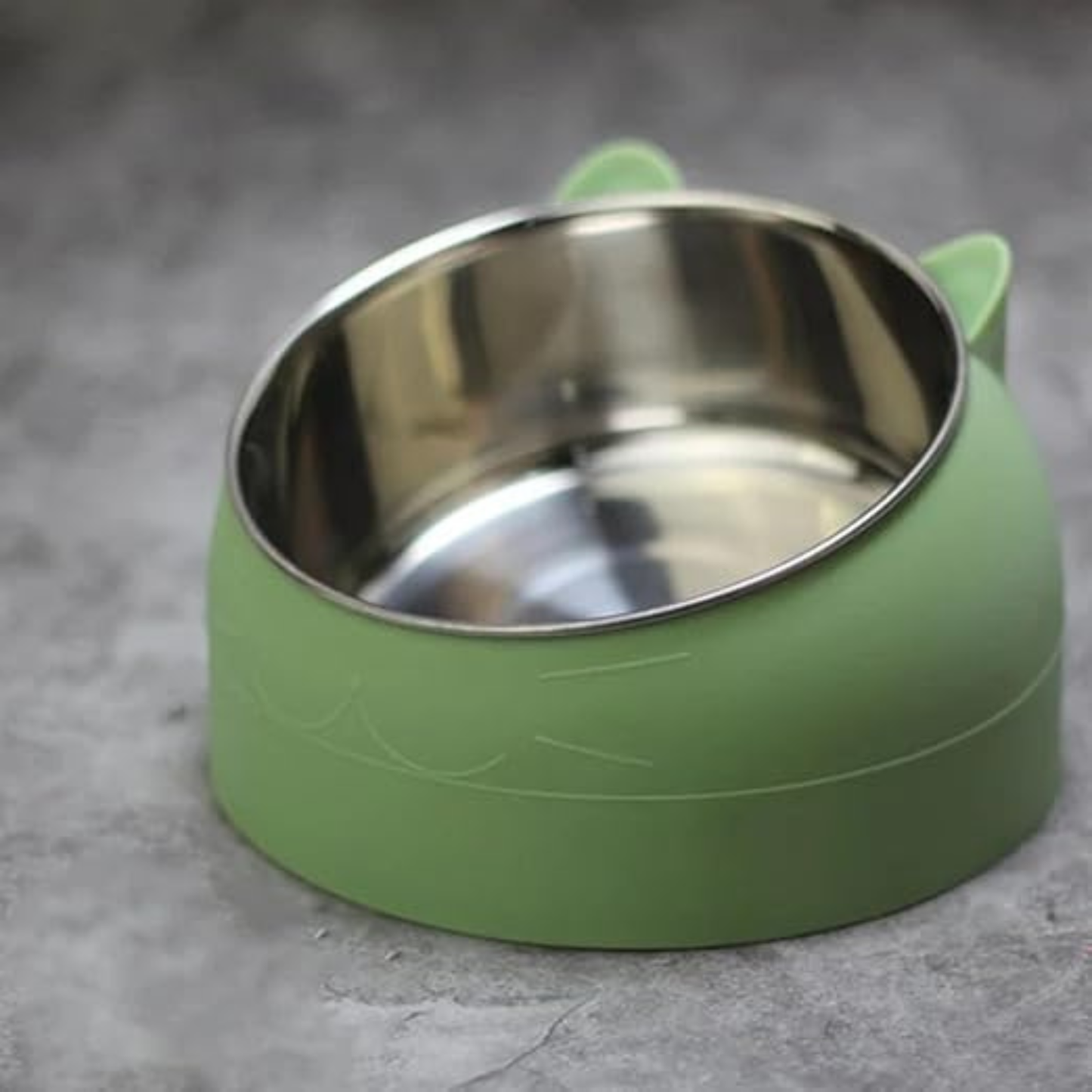 Raised Stainless Steel Pet Food and Water Bowl with Tilted Design & Non-Slip Base for Dogs and Cats